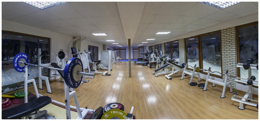 Hotel Victoria באקוריאני מראה חיצוני תמונה